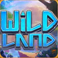 Wild Land